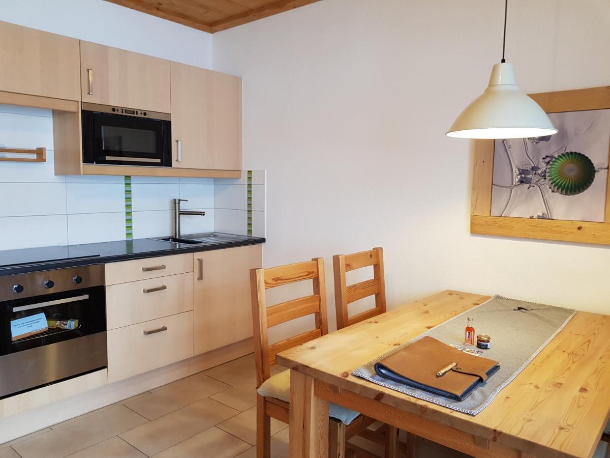 Appartements Gosaukamm.Com Exteriér fotografie