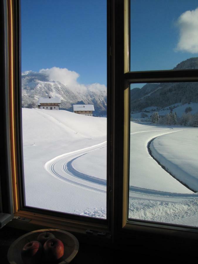 Appartements Gosaukamm.Com Exteriér fotografie